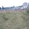 Lovely Quarter acre plots in Ngong thumb 4