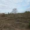 100 ac Commercial Land at Lungalunga thumb 2