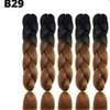 Ombre braids thumb 6