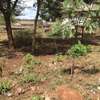 land for sale in Thika thumb 3