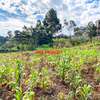 0.05 ha Residential Land at Muthiga thumb 18