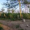 3 (50 by 100)  fertile land plots in Kamulu thumb 7