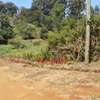1,000 m² Residential Land in Kikuyu Town thumb 2