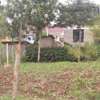 0.113 ac Residential Land in Ngong thumb 7