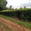 0.113 ac residential land for sale in Ngong thumb 4