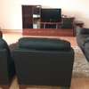 Fully furnished3 bedroom for rent thumb 3