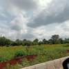 0.25 ac Residential Land at Thika-Kenol Road thumb 7