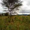 153 Acres of Land For Sale in Ngatateak - Namanga Rd thumb 4