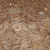 0.25 ac Land at Kipkorgot thumb 14