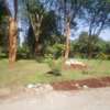 Beautiful Half Acre Land in Karen thumb 1