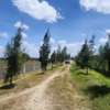 Ostrich farm plots on sale in Kitengela thumb 1