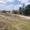 affordable 50 by 100 land for sale in Lenchani, Kitengela thumb 2