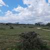 AFFORDABLE 50 BY 100 PLOT FOR SALE IN KONZA thumb 2