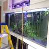 Aquarium Cleaning Services | Fish Tank Maintenance Company thumb 3