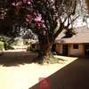 4 Bed House with En Suite at Loresho thumb 2