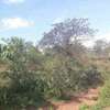 2700 Acres along the river in Kibwezi Makueni County thumb 4