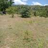 50X100ft PLOTS AT MAKUYU MITHIINI thumb 1