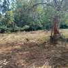 2,023 m² Residential Land at Rosslyn Lone Tree thumb 3