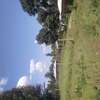 Quick sale   Land for sale/cheplengu/Nandi county thumb 0