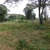 0.5 ac Residential Land at Nyari thumb 15