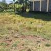 Matangi plot on sale thumb 0