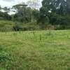 BEAUTIFUL 3 ACRES LAND FOR SALE IN TIMAU thumb 3