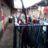 Block of single rooms for sale, Nairobi Githurai 45 thumb 2