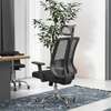 Office chair: Orthopedic office adjustable chair thumb 2