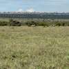 Land in Mombasa Road thumb 15