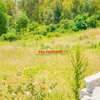 0.05 ha Residential Land at Lusigetti thumb 2
