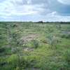 Land for sale by owner thumb 1
