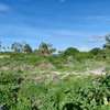 4.5 ac Land at Paparemo thumb 5
