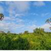 Residential Land in Diani thumb 3