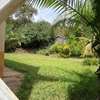 4 Bed House with En Suite at Maziwa thumb 16