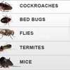 Cockroaches,Bed bugs,Flies,Ants,Rats & Termite Fumigation thumb 13