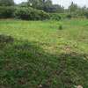Lovely One Acre in Karen thumb 1