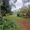 1 ac Land in Lavington thumb 6