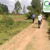 2 acres for sell at Bukembe (Bungoma) thumb 2