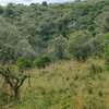 Land in Narok thumb 15