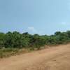 1,000 ft² Land at Diani Beach Road thumb 4