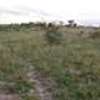 50X100 plots for sale - Kitengela KCA University thumb 1
