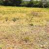 5000 m² residential land for sale in Mwea thumb 7