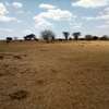 Land at Kitengela thumb 6