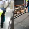 CHEAP Bed Bug Fumigation Services in Kiambu,Thika,Limuru thumb 10