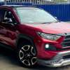 TOYOTA RAV 4 ADVENTURE 2019 thumb 12