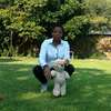 Domestic workers,Cleaners & Gardener Services in Nairobi thumb 11