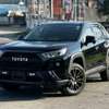 Toyota Rav4 adventure sunroof 2019 thumb 6