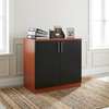 2 Door Lockbale Credenza Cabinet thumb 9