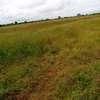 500 acres along Athi-River in Kibwezi Makueni County thumb 9