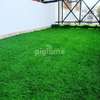 grass carpet=987 thumb 0